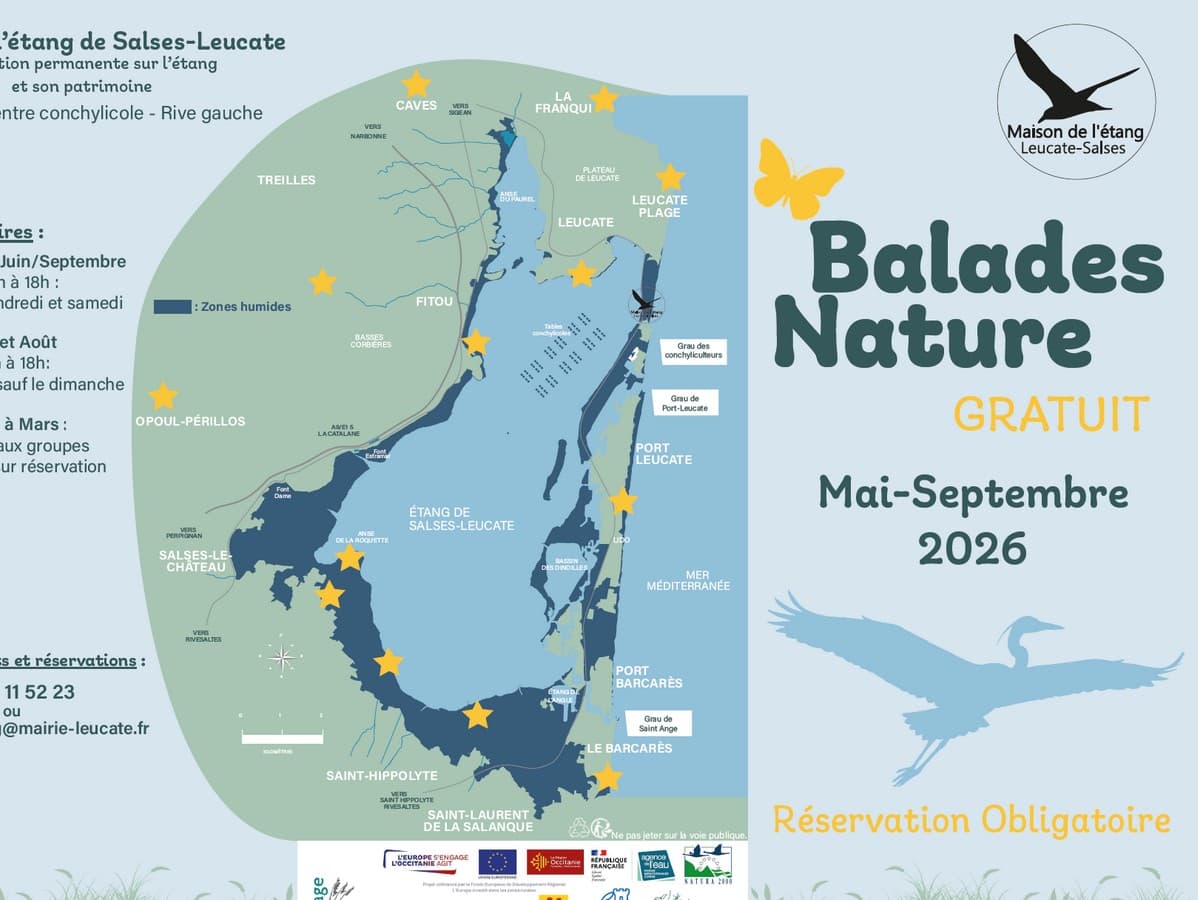 Illustration de l'événement : BALADE NATURE : LES OISEAUX DU BÂTI