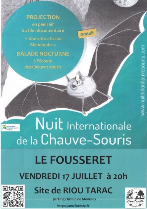 Illustration de l'événement : NUIT INTERNATIONALE DE LA CHAUVE-SOURIS