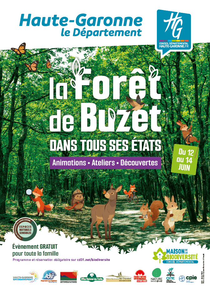 Illustration de l'événement : LA FORET DE BUZET DANS TOUS SES ETATS