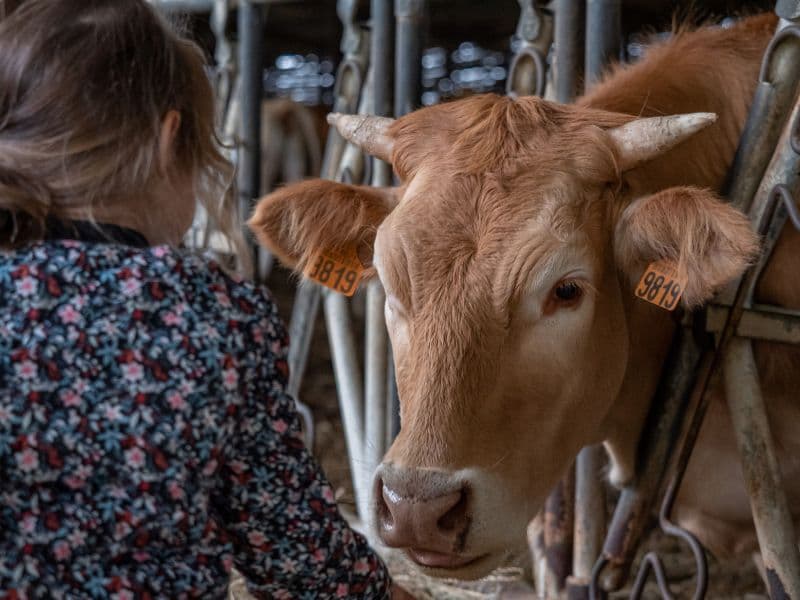 Illustration de l'événement : FERME DE LA TOUNINE