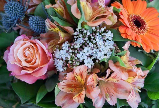 Illustration de l'événement : STAGE D'ART FLORAL