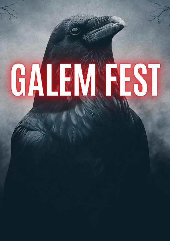 Illustration de l'événement : GALEMFEST 2