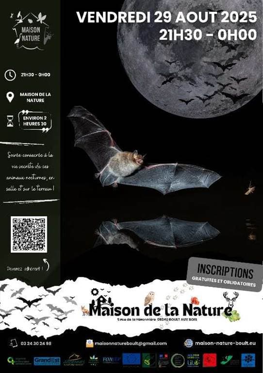 Illustration de l'événement : Nuit de la Chauve-Souris