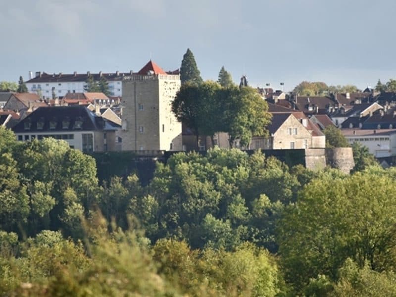 Illustration de l'événement : Visite thématique à Chaumont : le Moyen-Age à Chaumont