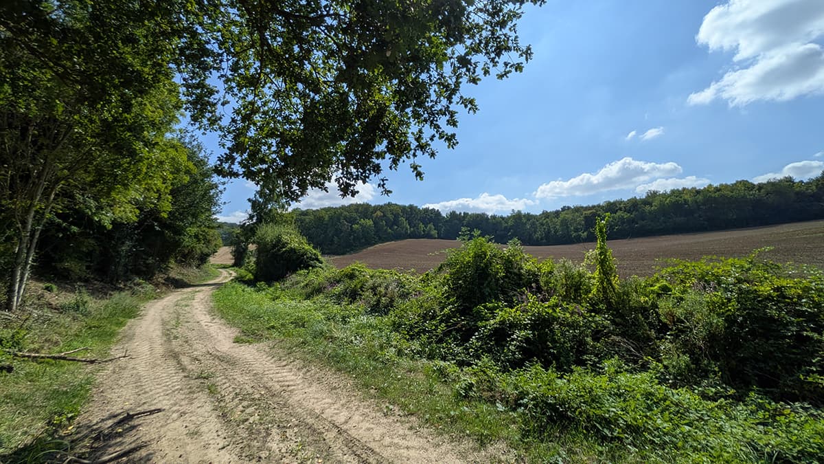 Illustration de l'événement : Sortie nature à Concevreux : "Rando-nature à Concevreux"