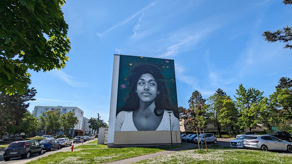 Illustration de l'événement : Visite guidée autour du street art à Laon (quartier Champagne)