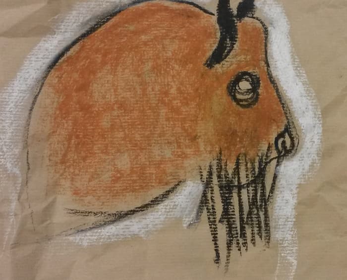 Illustration de l'événement : Atelier "Les Z'animaux de la Préhistoire"