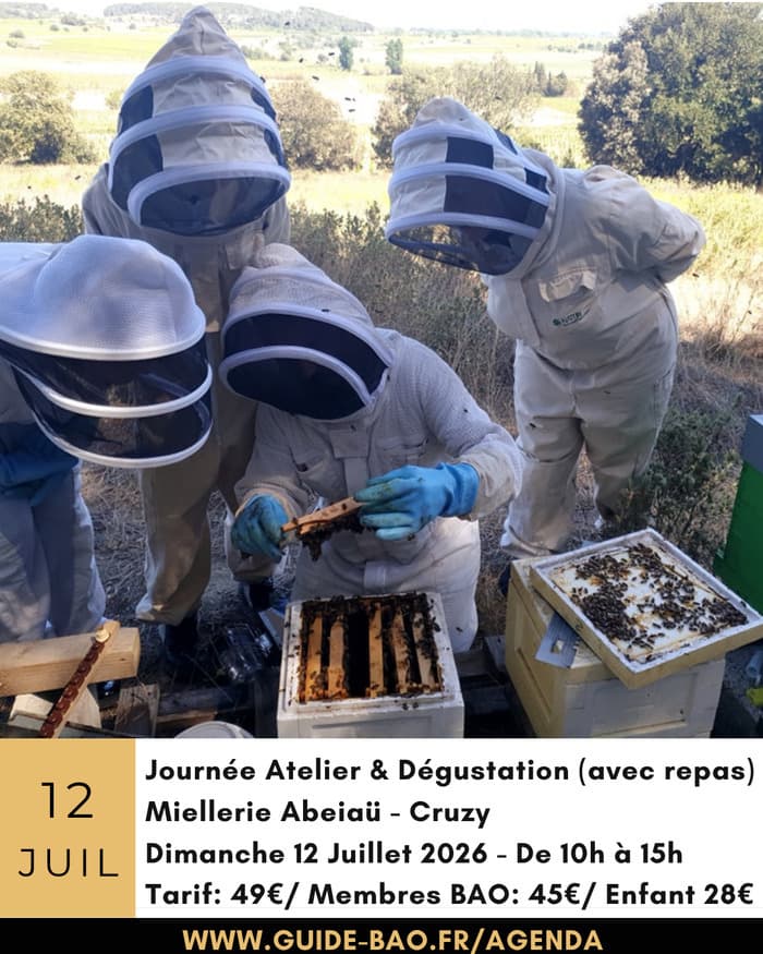 Illustration de l'événement : Stage Immersion au pays des abeilles à Cruzy