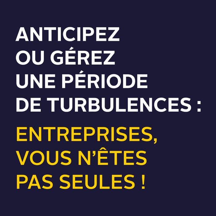 Illustration de l'événement : Anticipez ou gérez une période de turbulences : entreprises, vous n'êtes pas seules !