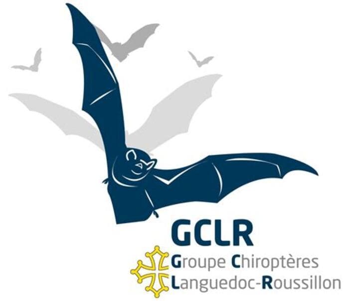 Illustration de l'événement : Nuit de la Chauve-souris