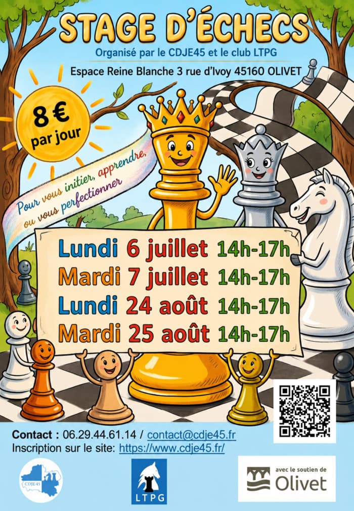 Illustration de l'événement : Stages d'échecs vacances d'été