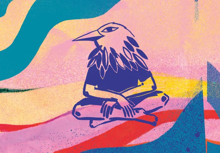 Illustration de l'événement : Fatti se déchaîne | Saison HMJ