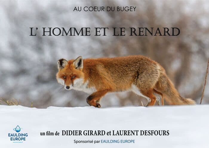 Illustration de l'événement : L'Homme et le Renard