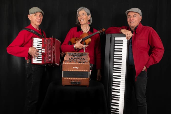 Illustration de l'événement : Concert "Entre Folk et Musette"