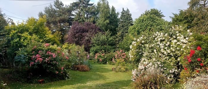 Illustration de l'événement : Visite guidée : le jardin En Terres d’Arelaune...de nombreux points de vue !