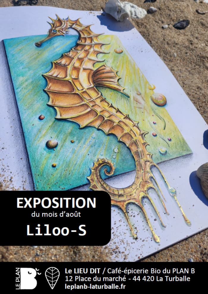 Illustration de l'événement : Exposition de Aout : Liloo-S