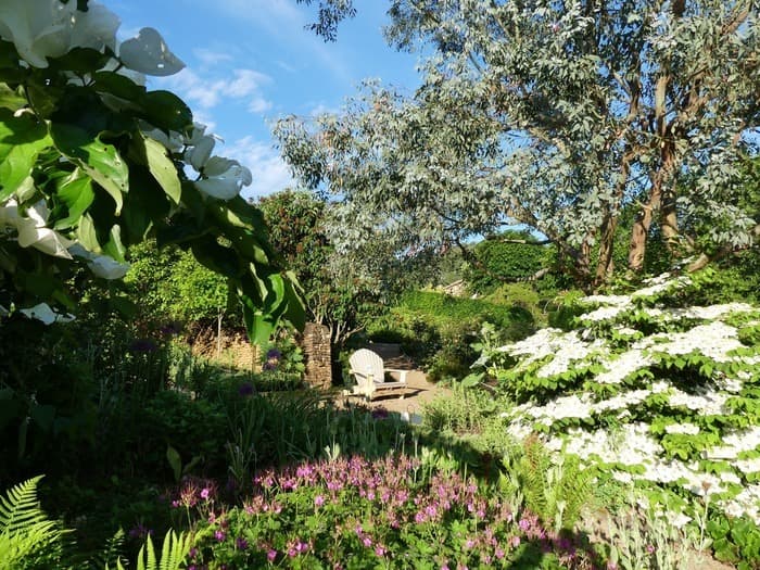 Illustration de l'événement : Visites commentées des Jardins de La Rejonière