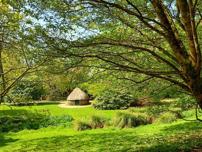 Illustration de l'événement : Visites guidées gratuites du Jardin botanique