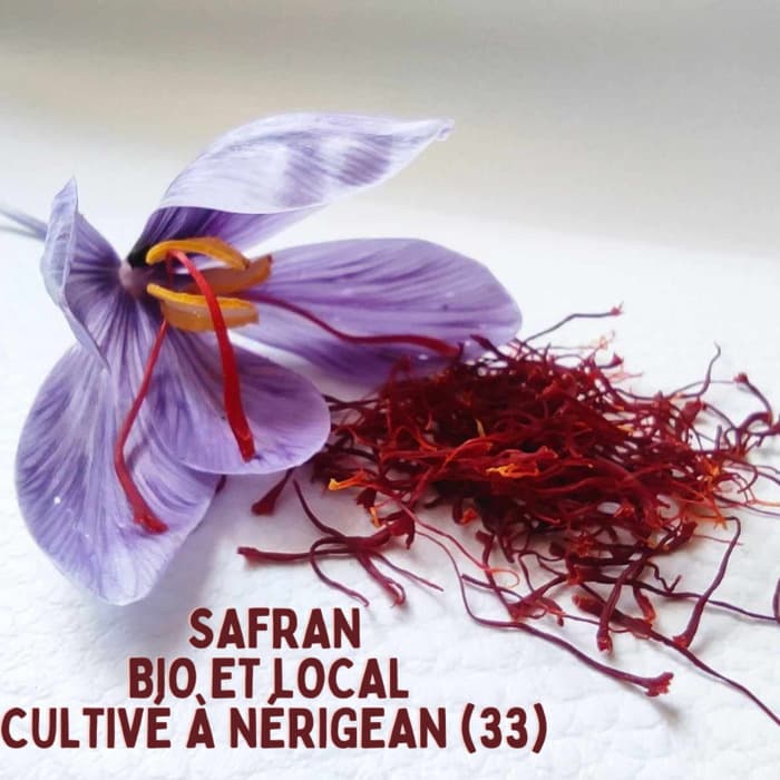 Illustration de l'événement : Terr'a Safran - Journée porte ouverte