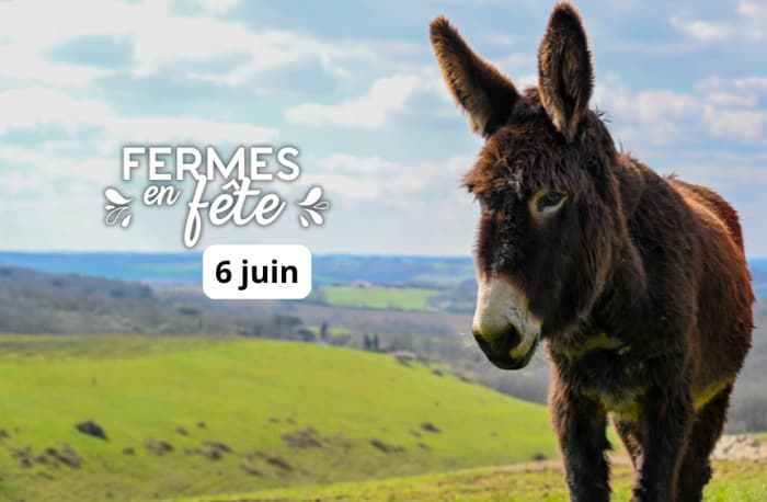 Illustration de l'événement : Visite de la savonnerie bio + distillerie