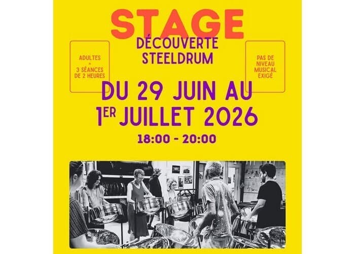 Illustration de l'événement : Stage de découverte du steeldrum