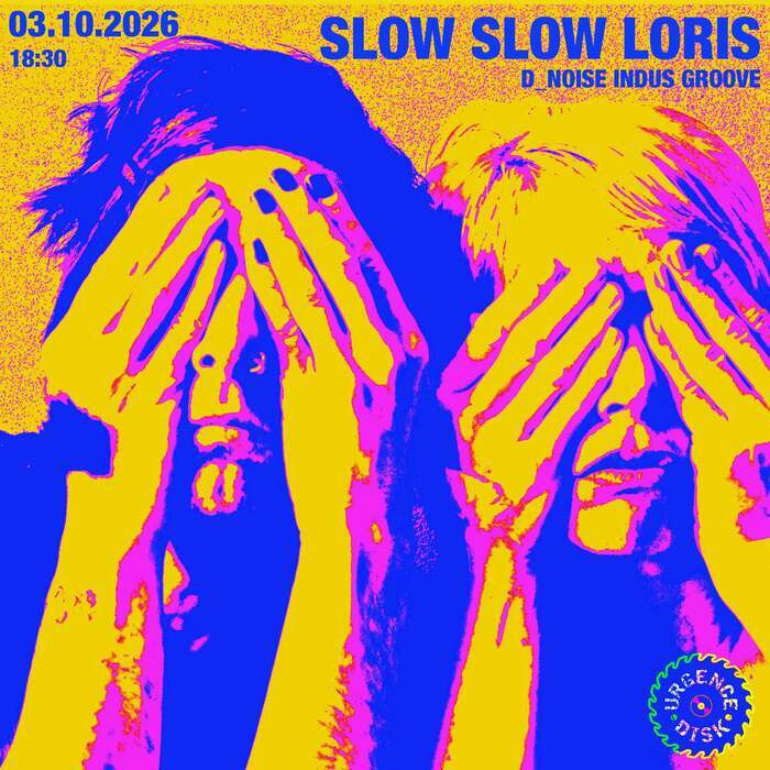 Illustration de l'événement : Slow Slow Loris_d_noise indus groove