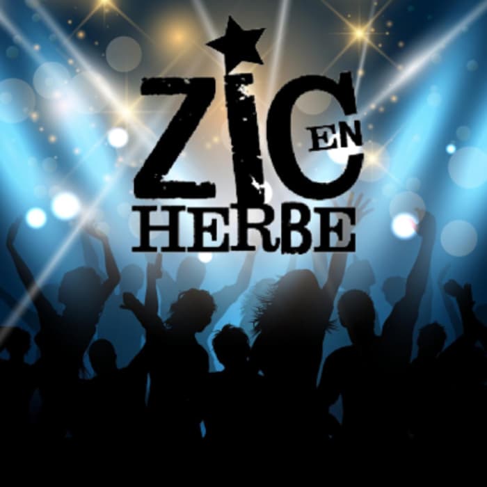 Illustration de l'événement : FÊTE DE ZIC EN HERBE