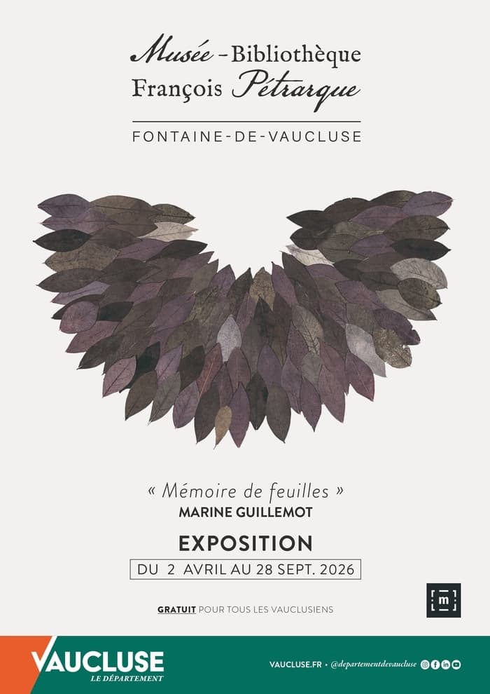 Illustration de l'événement : Rencontre avec l'artiste : Marine Guillemot nous parle de l'exposition Mémoire de feuilles