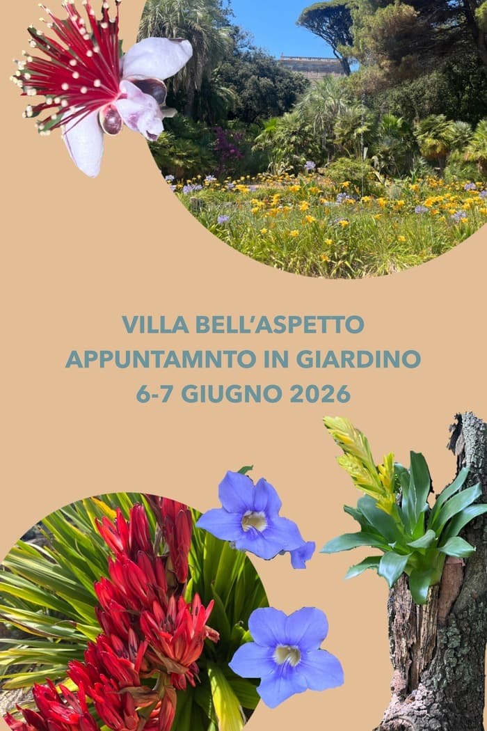 Illustration de l'événement : Villa Bell’Aspetto