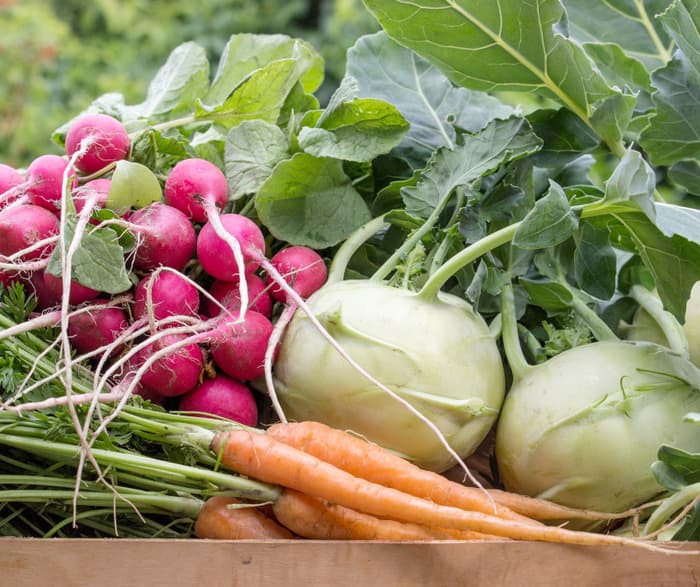 Illustration de l'événement : Tous à la Ferme du Héron : ateliers et échanges autour de la nature et de l’alimentation