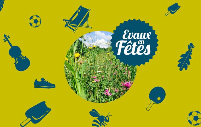 Illustration de l'événement : Balade naturaliste et observation d'oiseaux