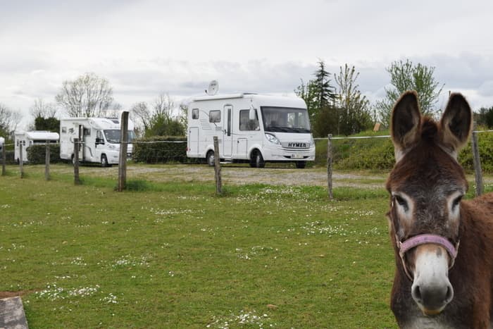 Illustration de l'événement : Visite découverte : Accueil de camping cars et hébergement insolite