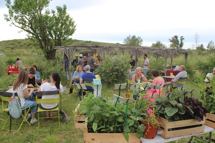 Illustration de l'événement : Apér'ombelles : Apéro au jardin avec concert acoustique