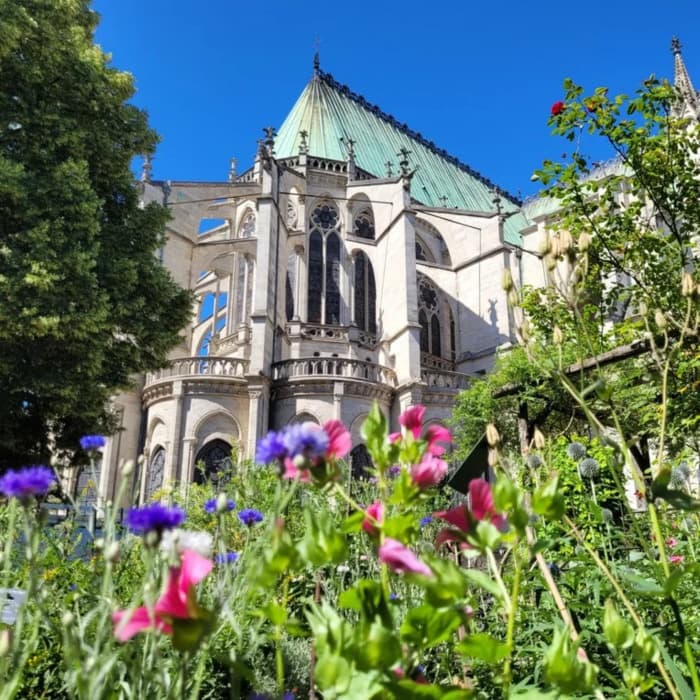 Illustration de l'événement : Ouverture et visite commentée du jardin médiéval de la basilique cathédrale Saint-Denis