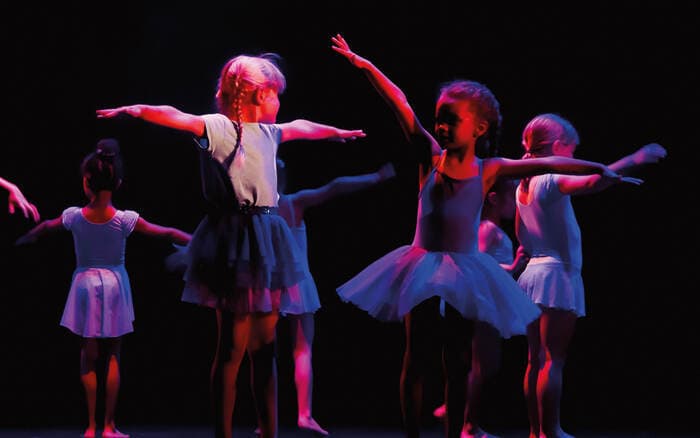 Illustration de l'événement : LES ENVOLÉES DANSE