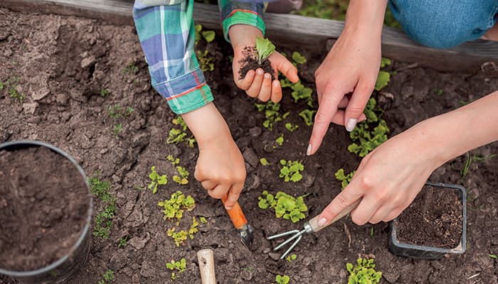Illustration de l'événement : Permanences jardin