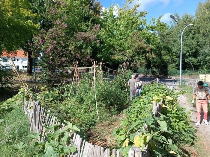 Illustration de l'événement : Animation au jardin partagé du Pin Sec, avec ECOS