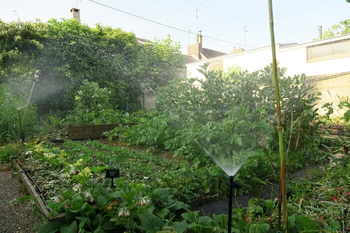 Illustration de l'événement : Jardinons ! Atelier "penser l'eau au jardin"