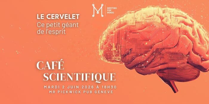 Illustration de l'événement : Café Scientifique: Le Cervelet, ce petit géant de l'esprit