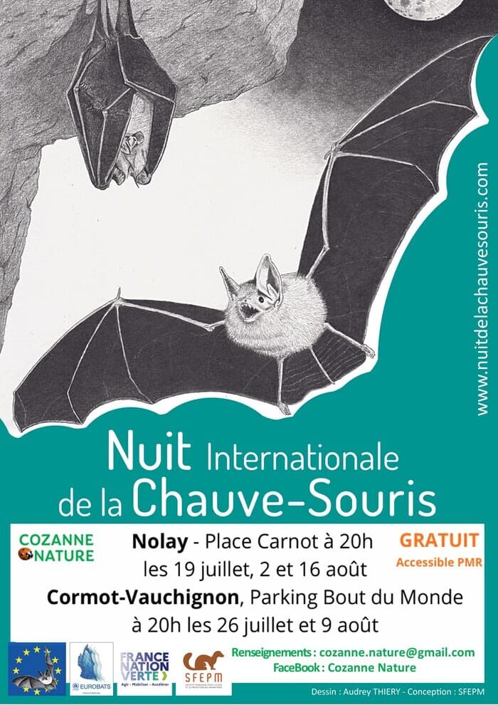 Illustration de l'événement : La vie des chauves-souris