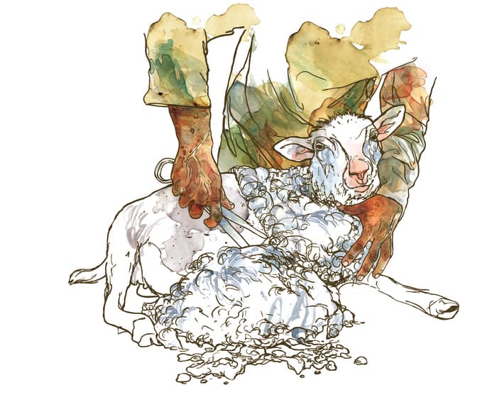 Illustration de l'événement : Visite familiale : les animaux au musée