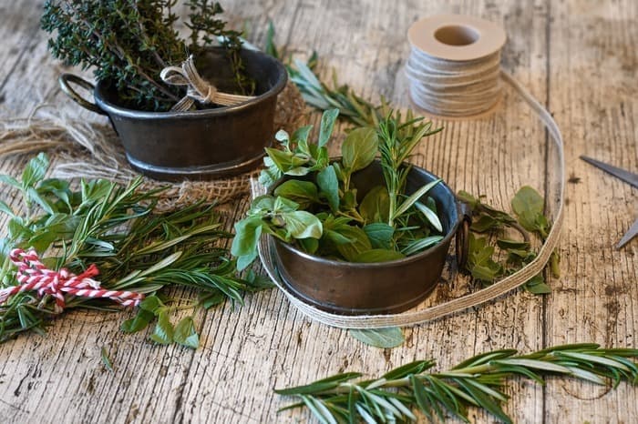 Illustration de l'événement : BOULOGNE-BILLANCOURT : 🌿 Plantes aromatiques et médicinales : des alliées pour votre bien-être 🌿