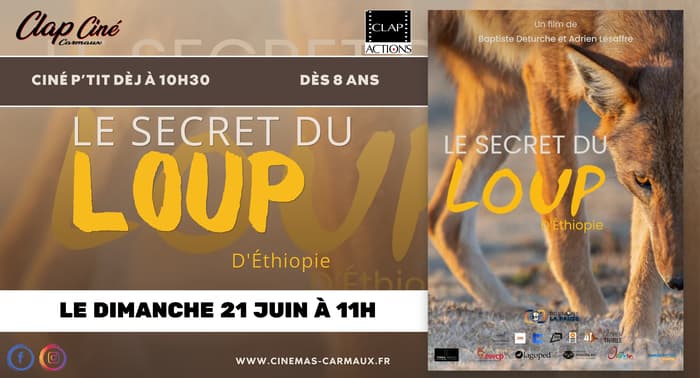 Illustration de l'événement : Le secret du loup d'Ethiopie