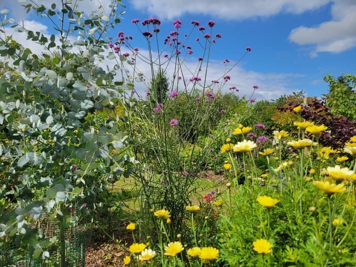 Illustration de l'événement : Visite du jardin "Un Écrin de Florilèges"