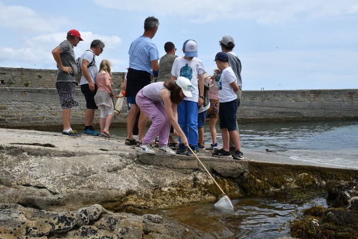 Illustration de l'événement : Pêche et plancton sur le port de Concarneau