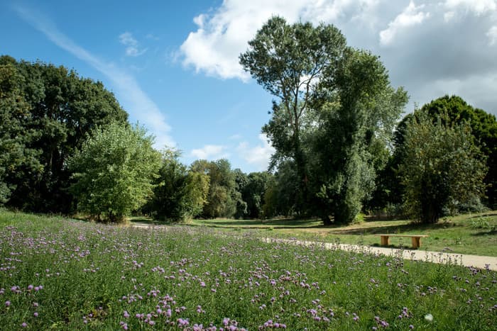 Illustration de l'événement : Découverte du Parc Naturel de Beaulieu