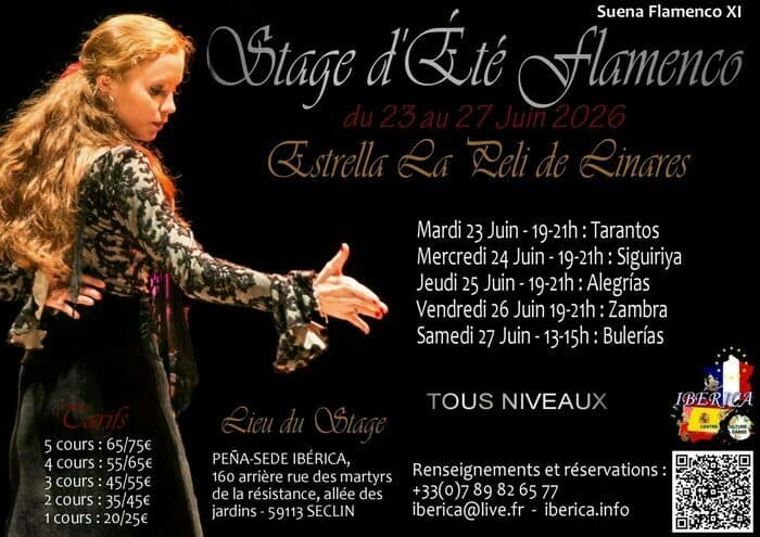 Illustration de l'événement : Stage flamenco Ibérica Seclin Lille - El verano suena flamenco XIème édition