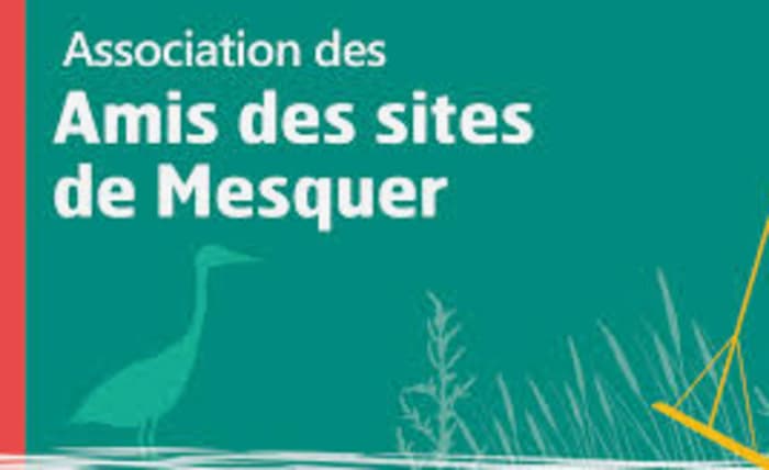 Illustration de l'événement : Mesquer fait son cinéma