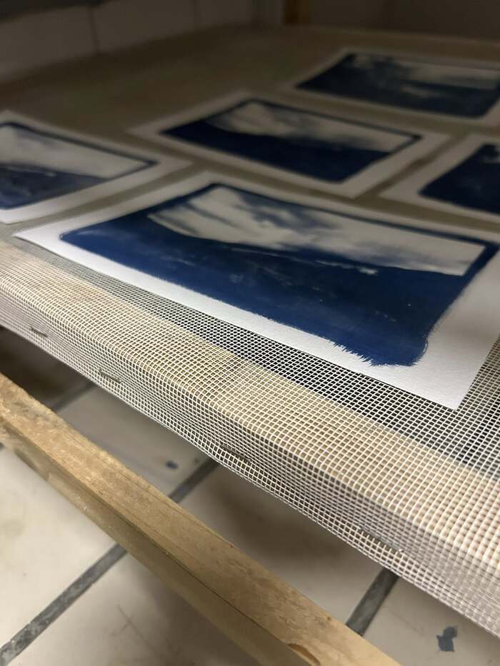 Illustration de l'événement : Ateliers d'initiation au cyanotype