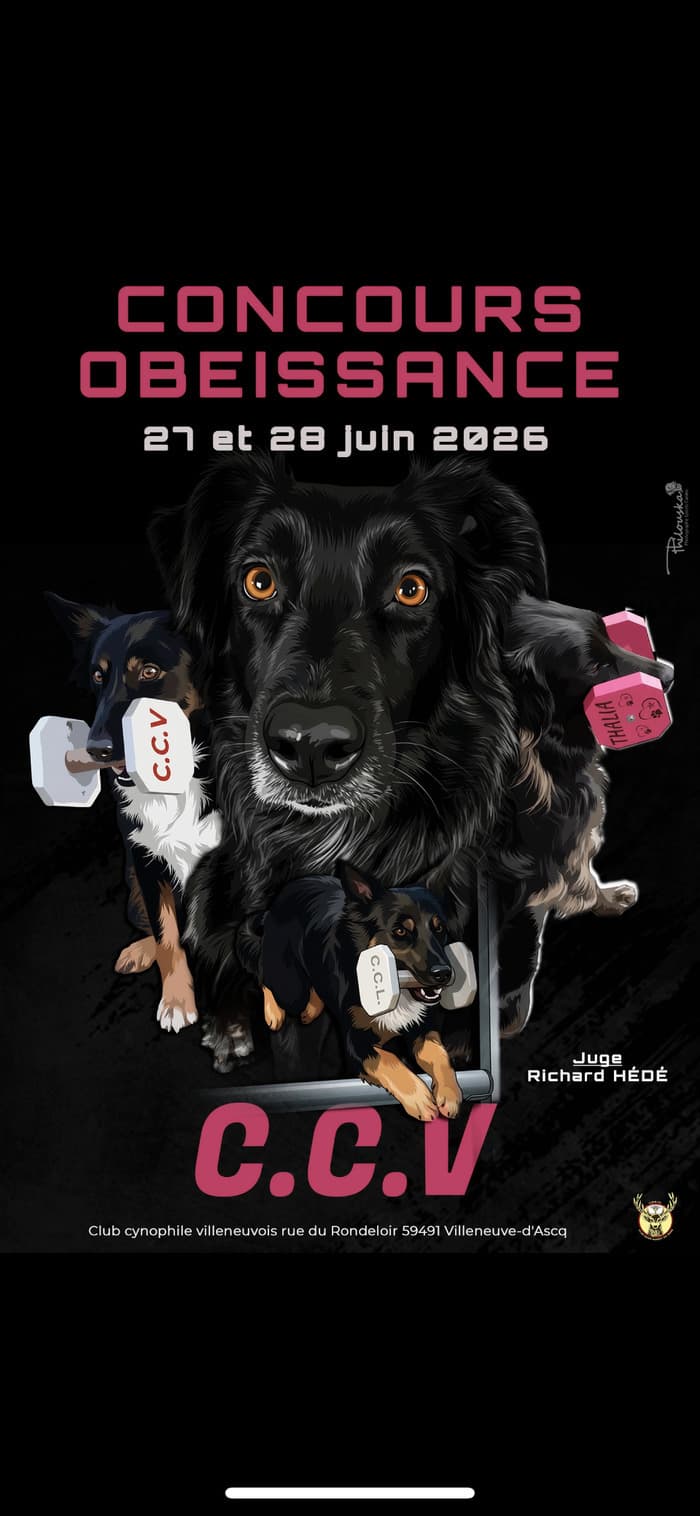 Illustration de l'événement : Concours d'Obéissance canin